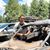 Bronz Whiting's profile image