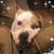 Kari Dusenbery's profile image