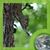 Jennifer Sieck's profile image