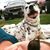Alaina Schmidt's profile image