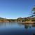Deb Suls Painter's profile image