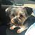 Jennifer Boothe Slates's profile image