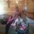 Estella Castillo's profile image