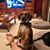 Genie Scheppner Tuttle's profile image