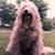 Darren Rief's profile image