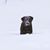 Dan Collins's profile image