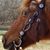 Tracey Laughton Dildine's profile image