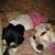 Tammy Davis's profile image