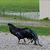 Carol Lenz-scott's profile image