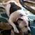 Lori Barker's profile image