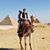 Gina Tindell's profile image