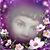 Gloria Trevino's profile image