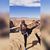 Kimberly Nelson-Carlson's profile image