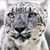 Pern Johnson's profile image