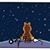 Debra McGuffin's profile image