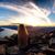 Tammi George's profile image