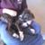 Jennifer Goldkamp's profile image