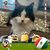 Luis Chacon's profile image