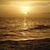 Karen Feaster Jeffries's profile image