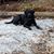 Cory DesRochers's profile image