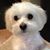 Brenda Barry's profile image