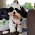 Sandy Medders Campbell's profile image