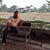 Teerawat Max Wongsawad's profile image