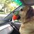 Deb Patton's profile image