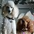 Holly Beaubien VandenBrink's profile image