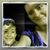 Heather Curtis's profile image
