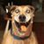 Rick Davis's profile image