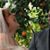 Nanci Jean Krum Tucker's profile image