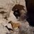 Lynn Haynes's profile image
