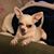 Sue Wilson's profile image