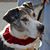 Mary Buckingham Griggs's profile image