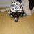 Lynda Prine's profile image