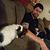 Brandon Weltmer's profile image