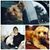Dave G David's profile image
