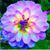 Cindy McDowell Johnson's profile image