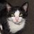 Paula J Bennett's profile image