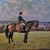 Wendy Collins Gutfarb's profile image