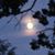 Dee Tvedt's profile image