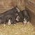 Lisa Marie's profile image