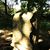 Brian Clark's profile image