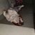 Richard Reber's profile image
