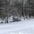 Carol Lefebvre's profile image