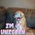 Ted Dreisbach's profile image