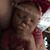 Ashley Marie Johnston's profile image