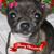 Rosemarie Wood's profile image