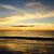 Shanda Clark's profile image